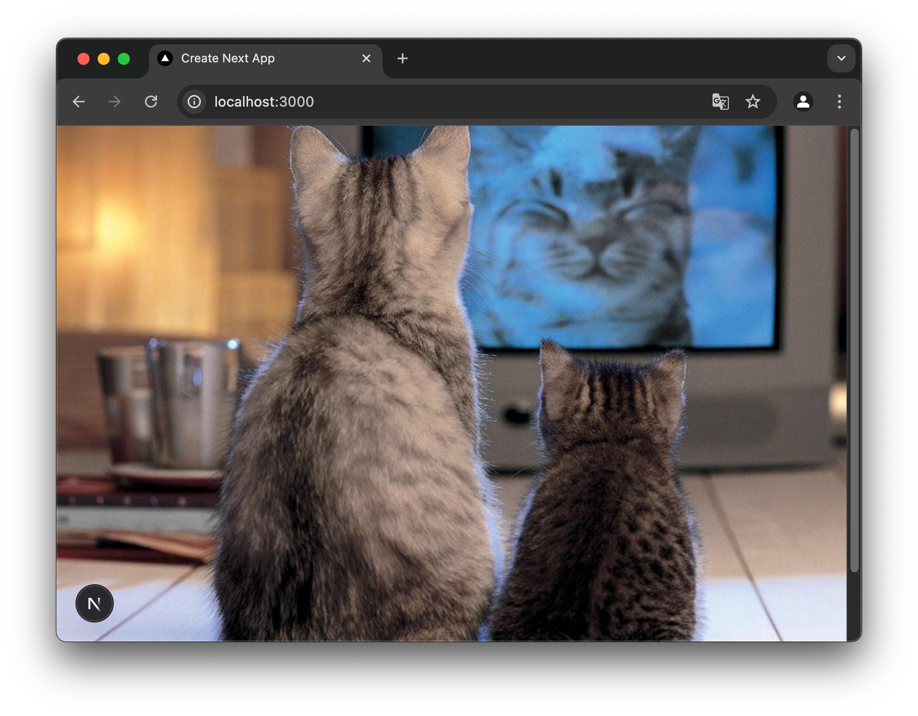 Màn hình browser ngay sau khi hiển thị trang trong ứng dụng Next.js. Nhờ component CatImage đã implement, ảnh 2 con mèo đang xem TV hiển thị toàn màn hình