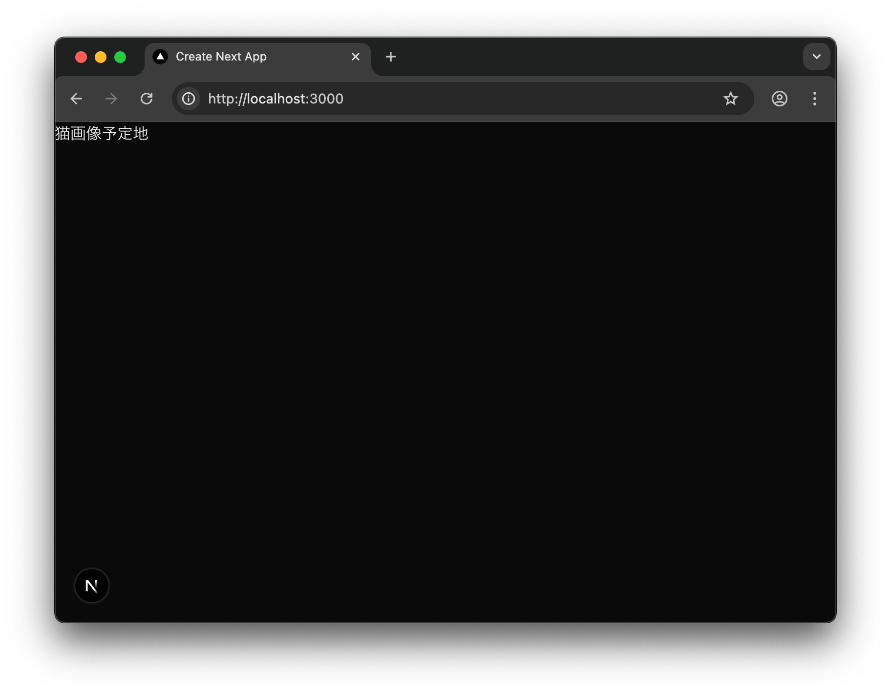 Ứng dụng Next.js hiển thị trong browser. Màn hình placeholder chỉ có text "Vị trí dành cho ảnh mèo" ở góc trên bên trái